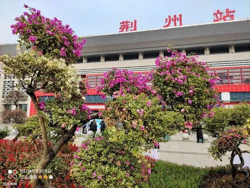邯鄲到荊州物流公司專線省錢又省心省準(zhǔn)時送達時+效+保+證