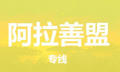 邯鄲到阿拉善盟物流公司-邯鄲至阿拉善盟貨運(yùn)客戶至上定制服務(wù)|可靠、經(jīng)濟(jì)實(shí)惠